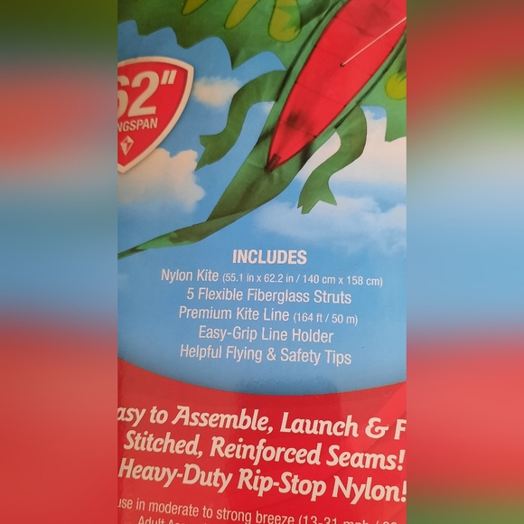 Dragon Shaped Kite - Picture 6 of 6